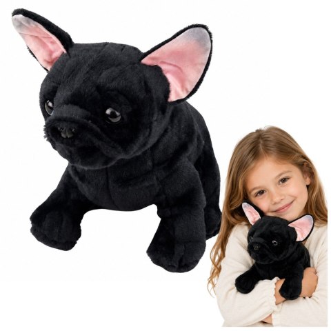 LEAN Toys Pluszowa Maskotka Przytulanka Piesek Buldog Francuski Czarny 22 cm