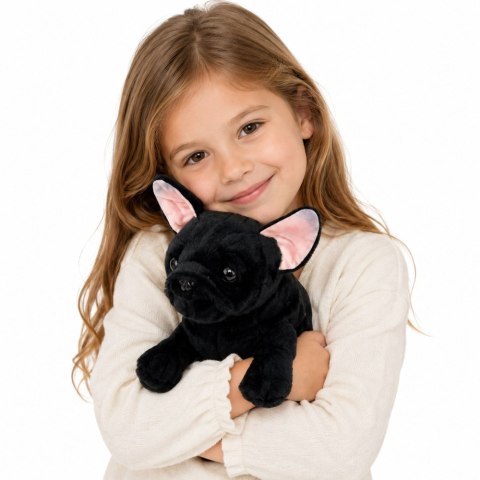 LEAN Toys Pluszowa Maskotka Przytulanka Piesek Buldog Francuski Czarny 22 cm