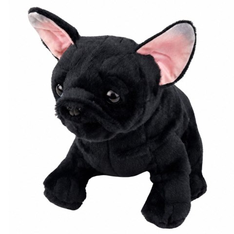 LEAN Toys Pluszowa Maskotka Przytulanka Piesek Buldog Francuski Czarny 22 cm