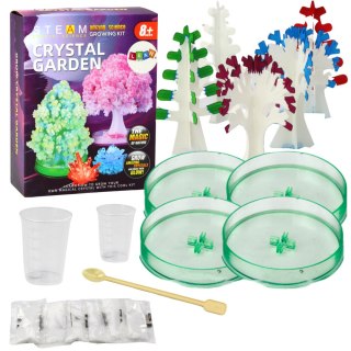 LEAN Toys Zestaw Edukacyjny Doświadczenie Hodowla Kryształów Drzewka