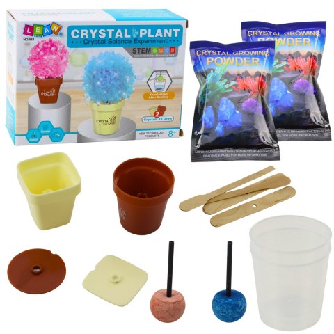 LEAN Toys Zestaw Edukacyjny Hodowla Magiczne Drzewko Kryształowe