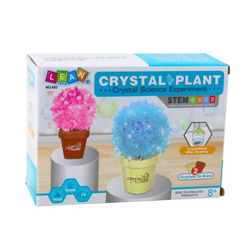 LEAN Toys Zestaw Edukacyjny Hodowla Magiczne Drzewko Kryształowe
