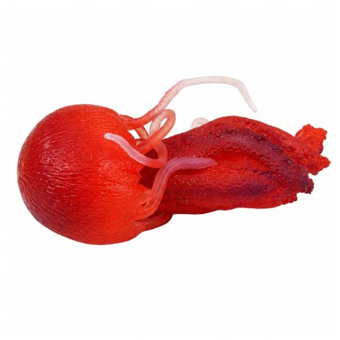 LEAN TOYS Gumowa Figurka Meduza Rozciągliwa Realistyczna Zwierzę Morskie 9 cm