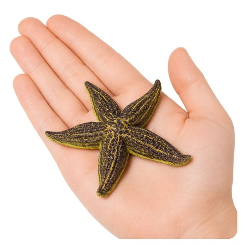 LEAN TOYS Rozgwiazda Gumowa Figurka Rozciągliwa Realistyczna Zwierzę Morskie 9,5 cm