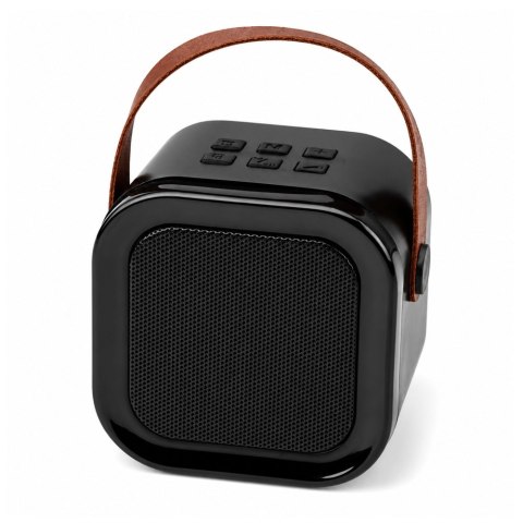 LEAN Zestaw Do Karaoke Głośnik Bluetooth Dwa Mikrofony Światła LED Czarny