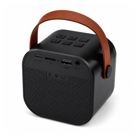 LEAN Zestaw Do Karaoke Głośnik Bluetooth Dwa Mikrofony Światła LED Czarny