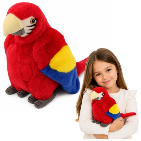 LEAN Toys Pluszowa Papuga Ara Ptak Egzotyczny Maskotka Przytulanka Czerwona 24 cm