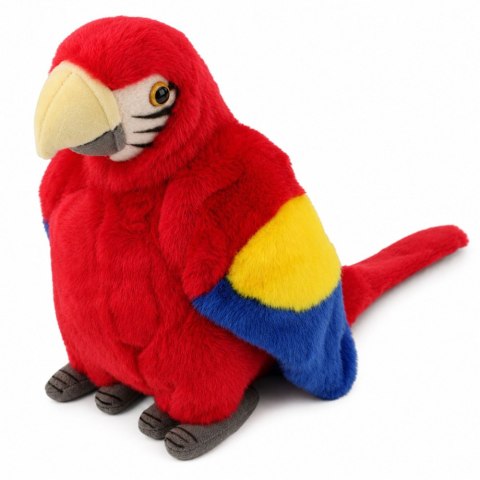 LEAN Toys Pluszowa Papuga Ara Ptak Egzotyczny Maskotka Przytulanka Czerwona 24 cm