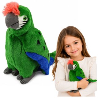 LEAN Toys Pluszowa Papuga Ara Ptak Egzotyczny Maskotka Przytulanka Zielona 24 cm
