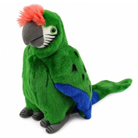 LEAN Toys Pluszowa Papuga Ara Ptak Egzotyczny Maskotka Przytulanka Zielona 24 cm