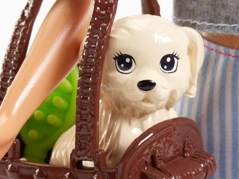 Mattel Mattel Barbie ze zwierzątkami lalka zestaw z akcesoriami ZA6706