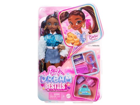 Mattel Mattel Lalka Barbie Dream Besties Brooklyn z akcesoriami ZA6700