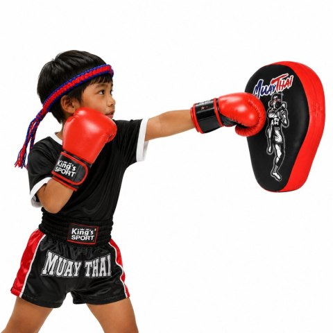 LEAN Toys Zestaw Sportowy Bokserski Rękawice Łapa Treningowa 2w1 MUAY THAI
