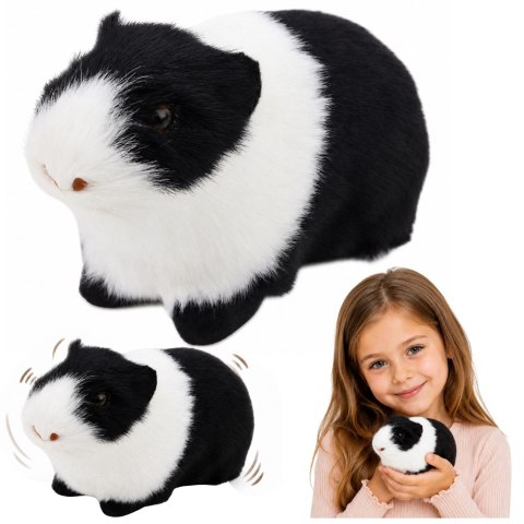 LEAN Toys Świnka Morska Realistyczna Miękkie Futerko Zwierzątko Biało Czarna 12 cm