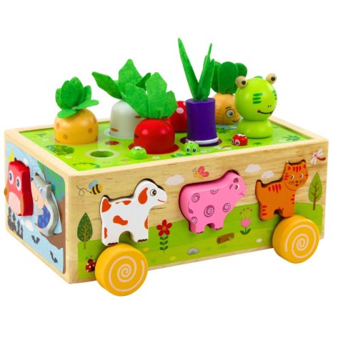 LEAN Toys Zabawka Edukacyjna Drewniana Wesoła Farma Sorter Magnetyczne Robaki