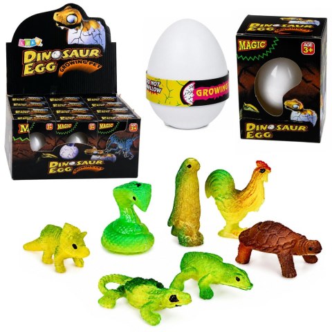 LEAN TOYS Magiczne Jajo Wykluwający Się Dinozaur W Wodzie Jajko Białe 6,5 CM