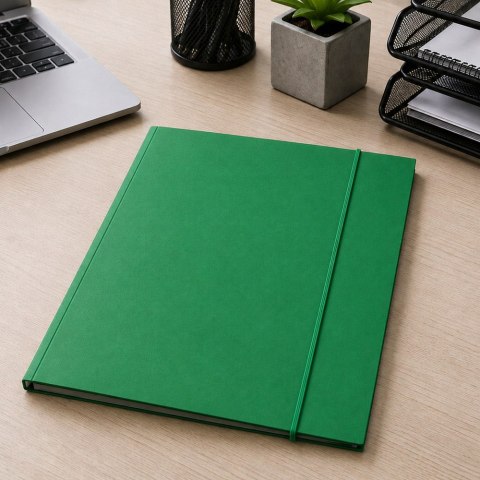 LEAN Teczka Skrzydłowa Kartonowa z Gumką Lakierowana A4 300 g/m2 Zielona