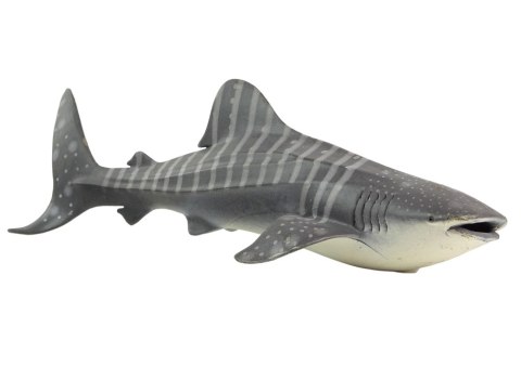LEAN Toys Duża Figurka Kolekcjonerska Rekin Wielorybi World The Sea