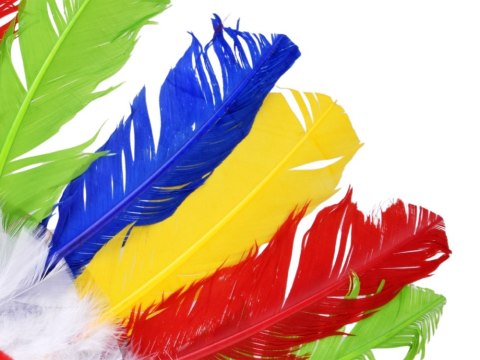 JOKOMISIADA Kolorowy Pióropusz dla Dzieci Opaska z Piórami do Przebrania ZA6431
