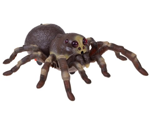 JOKOMISIADA Pająk TARANTULA zdalnie sterowany - funkcja pary wodnej RC0784