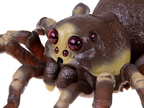 JOKOMISIADA Pająk TARANTULA zdalnie sterowany - funkcja pary wodnej RC0784