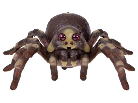 JOKOMISIADA Pająk TARANTULA zdalnie sterowany - funkcja pary wodnej RC0784