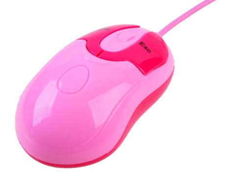 JOKOMISIADA Laptop edukacyjny polsko angielski 65funkcji ZA3321