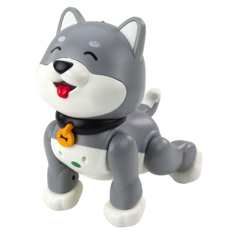 LEAN Toys Interaktywny Robot Pies Husky Zdalnie Sterowany RC Głosem Sztuczki Szary